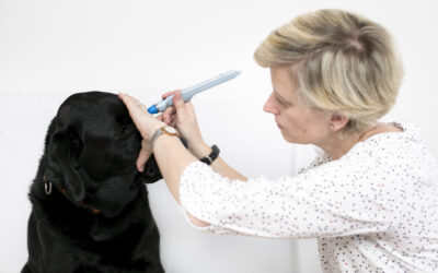 Reicht ein Tonopen aus, um ein Glaukom zu diagnostizieren?